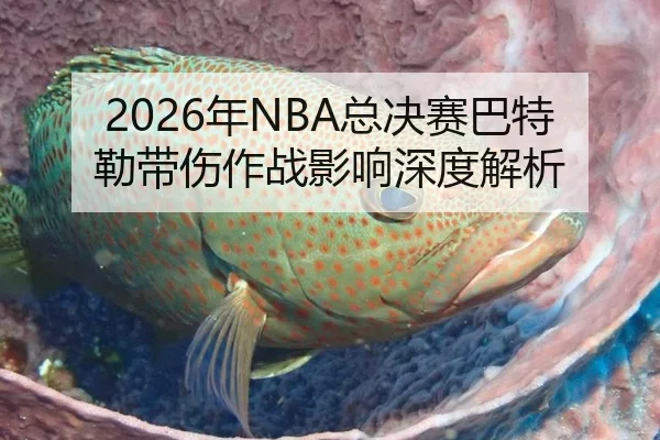2026年NBA总决赛巴特勒带伤作战影响深度解析